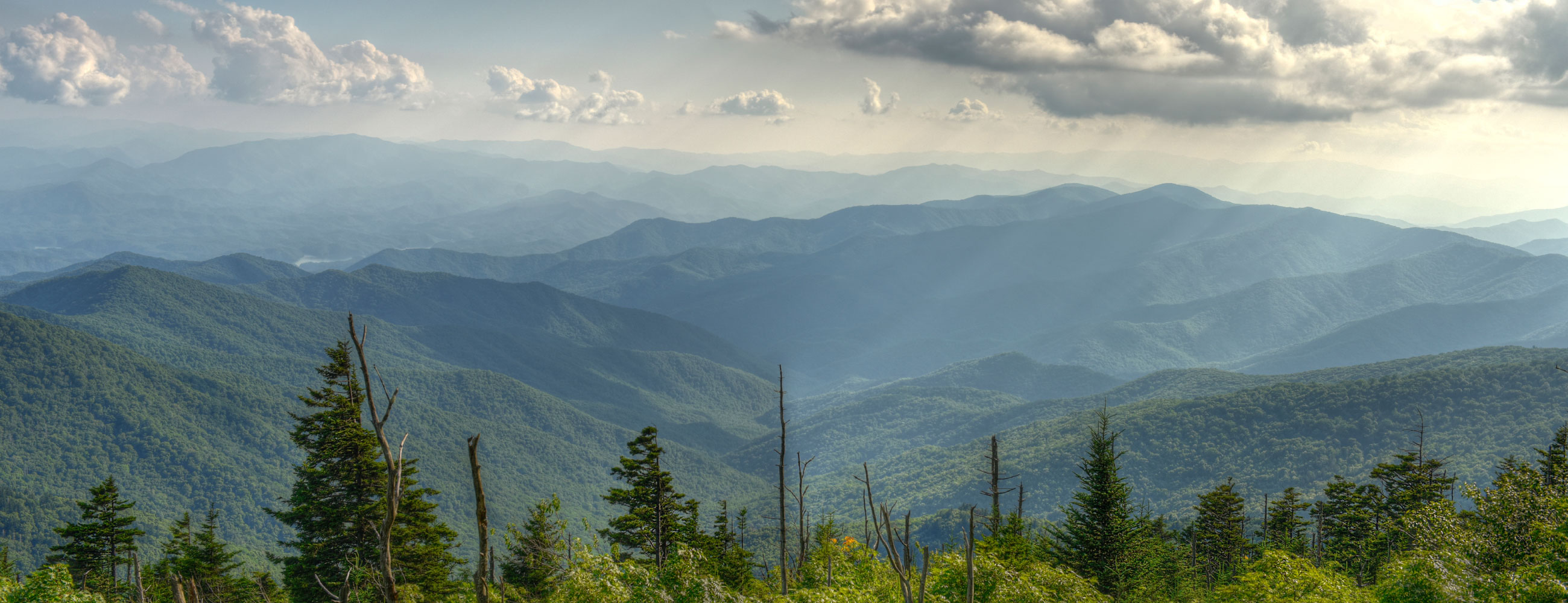 Opposite Divya Elite Meerpet